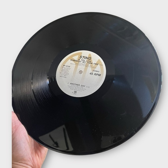 Sting If You Love Somebody Set Them Free 12’ Vinyl Record - Picture 5 of 5